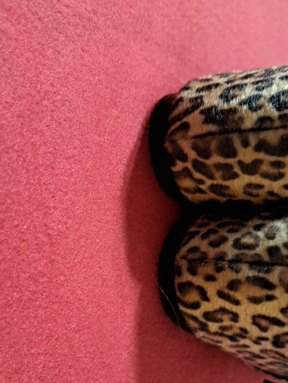 Banana Republic Leopard Mary Jane Flats - Picture 7 of 9